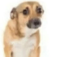 gafueiomwg