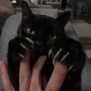 xxl那天问我能不能叫她一声妈咪