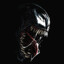 VeNoM_209