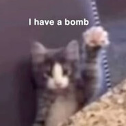 Rat