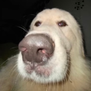 kaiser