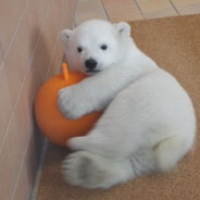 chasing dreams 妻子