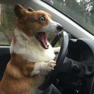 每次我不知道该说什么的时候就不知道该说什么