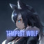 Tempest_Wolf890