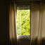 ♫ the alarmist