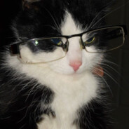 MIAW