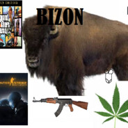 BIZON