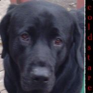 coldstare - steam id 76561197961388570