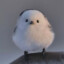 HARU
