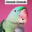 SEX COACH SPB