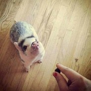 有空一起蹲个坑