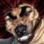 Lord_Banana