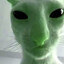 ricycat231