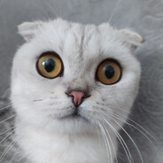 smertnik - steam id 76561198926210674