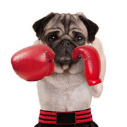 POLISH HAMMER avatar