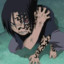 Sasuke Uchiha
