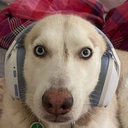 ДЕВОЧКА ВОЙНА
