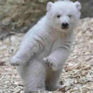 今天你操逼了吗~