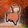 alpaca assasina
