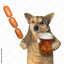 dog witta sausage and beer