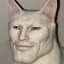 Abram's Cat