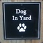 Dog In Yard