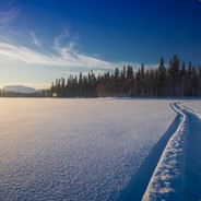 SHENQ1thunderpick.io