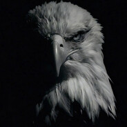 SBA - steam id 76561199671348130