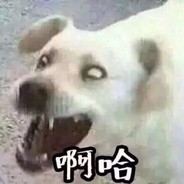 谈情不如逗*丶