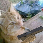 kmatrov™