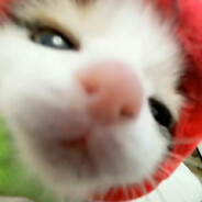 并非无路可走我还有死路一条