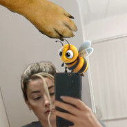 my dog stepped on a bee