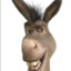 Donkey