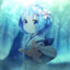 REM