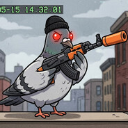 FadedPigeon47