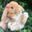 ShushiBun