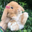 ShushiBun