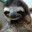SLOTHFACE