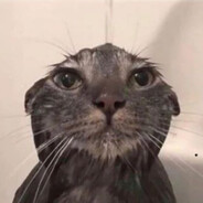 cathulhu