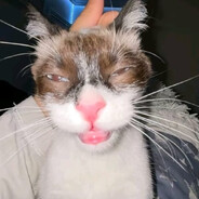 GatoPirata777 avatar