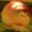 Breadbug
