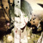 \#Eren_Jaeger\#