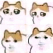 疯疯子仅此而已