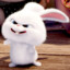 Rabbit_Kim