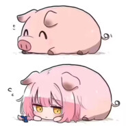 魔法粉猪咪