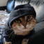 iTzHyperCatZz