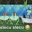 Stecu Stecu