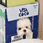 双层芝士牛肉堡