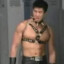 Van Darkholme