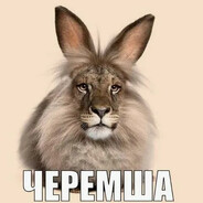 Черемша